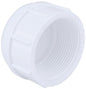 CHA 4617-3-112 1-1/2 PVC THREADED