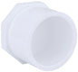 CHA 4616-112 1-1/2 PVC GLUE PLUG