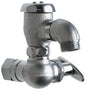 CHI 998RCF SILL FAUCET W/VAC BRKR