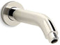 KOH 98358-SN EXHALE SHOWER ARM