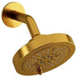 ROHL 366BG 6 6-FUNCTION SHOWERHEAD