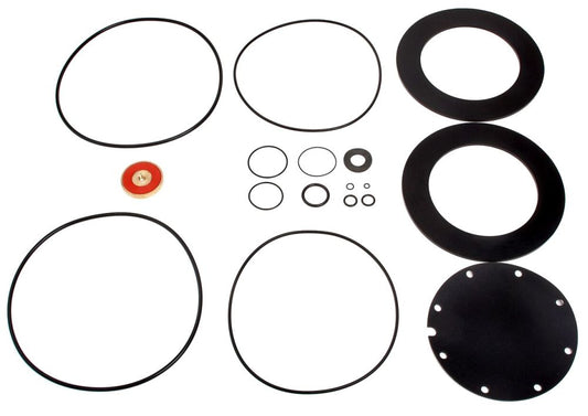 0794095 LFRK909M1-RT 10" RPZ